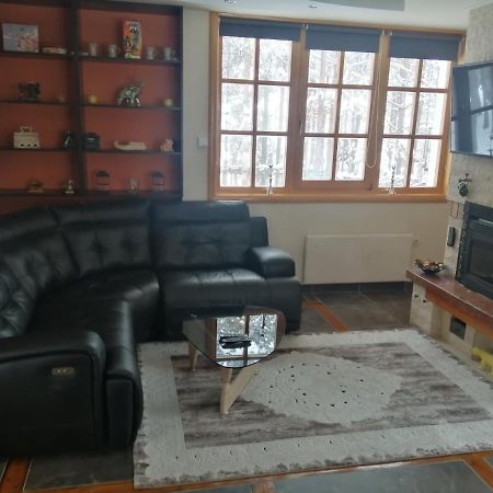 Vila Panic Zlatibor Buitenkant foto