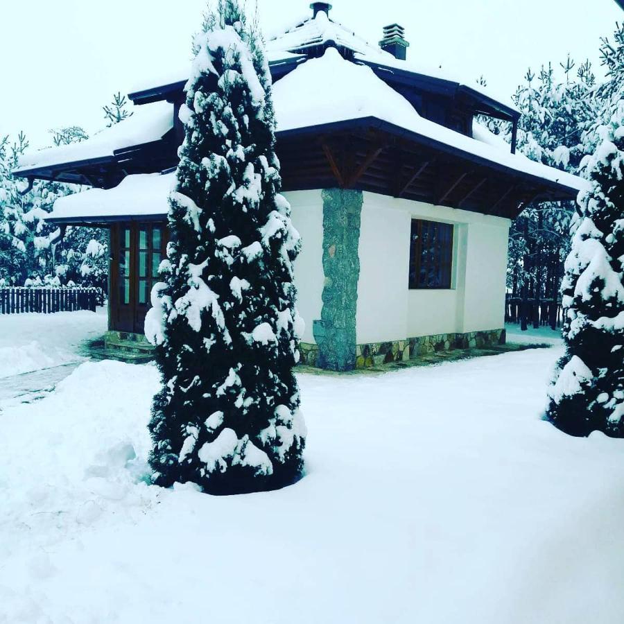 Vila Panic Zlatibor Buitenkant foto