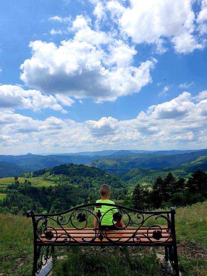 Vila Panic Zlatibor Buitenkant foto