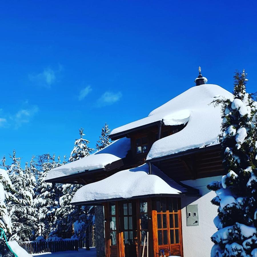 Vila Panic Zlatibor Buitenkant foto